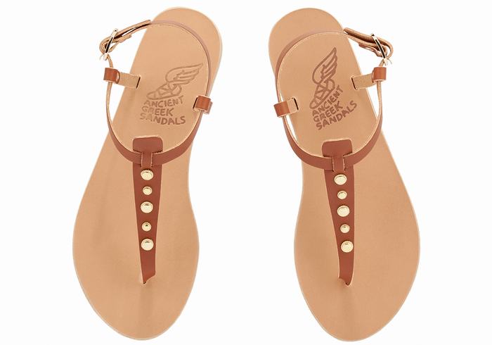 Ancient Greek Sandals Lito Bee Women Back-Strap Sandals Dark Brown | IME6069YX