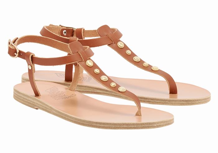 Ancient Greek Sandals Lito Bee Women Back-Strap Sandals Dark Brown | IME6069YX