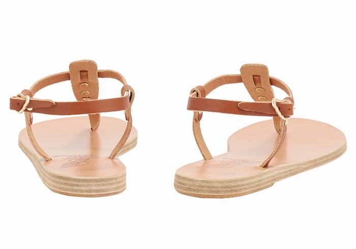 Ancient Greek Sandals Lito Bee Women Back-Strap Sandals Dark Brown | IME6069YX