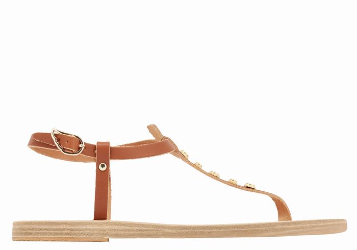 Ancient Greek Sandals Lito Bee Women Back-Strap Sandals Dark Brown | IME6069YX