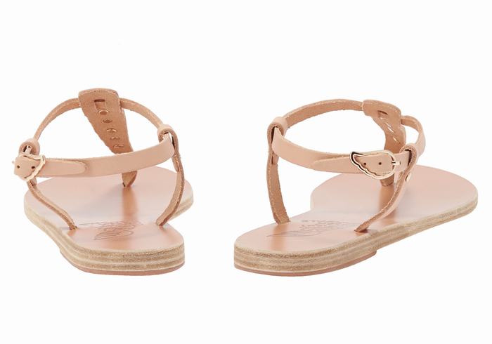 Ancient Greek Sandals Lito Bee Women Back-Strap Sandals Beige | VUG635MC