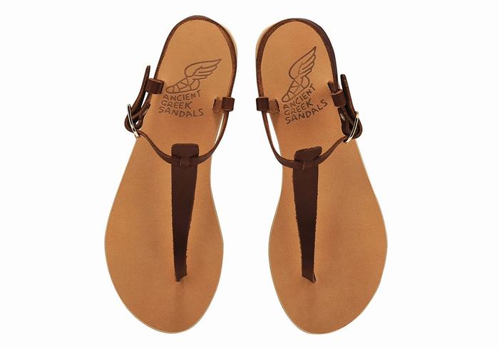 Ancient Greek Sandals Lito Flip Flop Leather Women Back-Strap Sandals Coffee | XJQ389YY