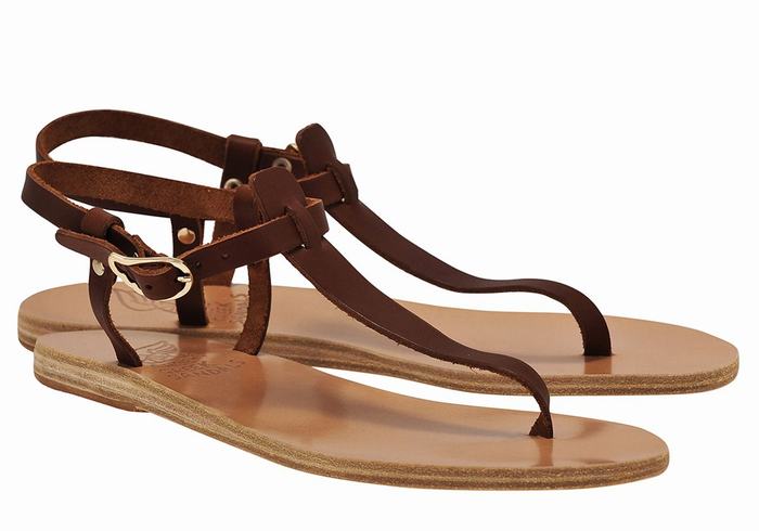 Ancient Greek Sandals Lito Flip Flop Leather Women Back-Strap Sandals Coffee | XJQ389YY