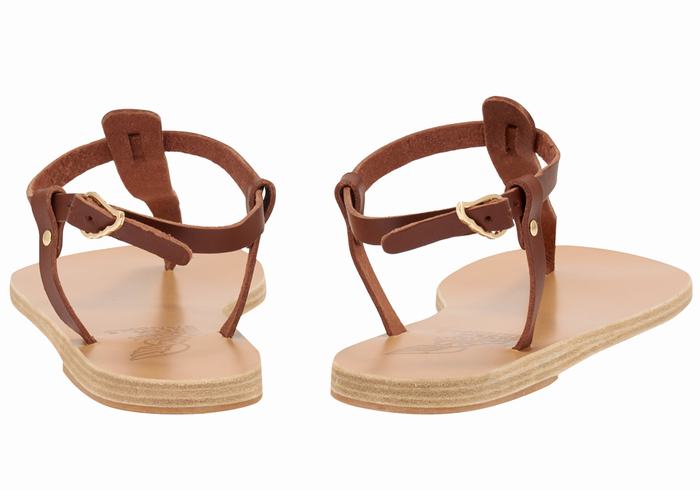 Ancient Greek Sandals Lito Flip Flop Leather Women Back-Strap Sandals Coffee | XJQ389YY