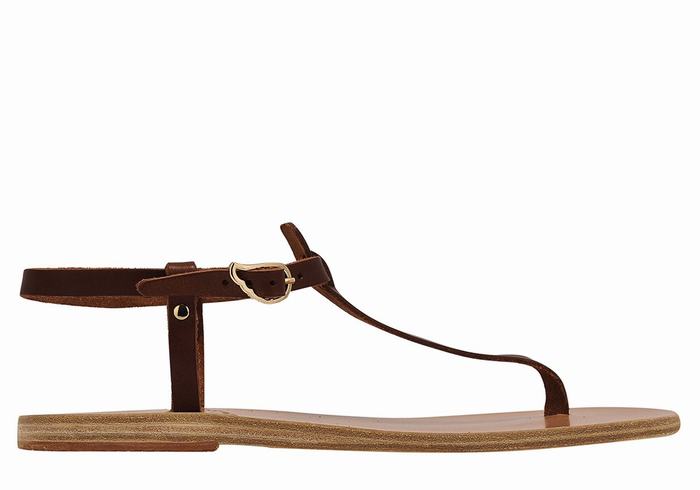 Ancient Greek Sandals Lito Flip Flop Leather Women Back-Strap Sandals Coffee | XJQ389YY