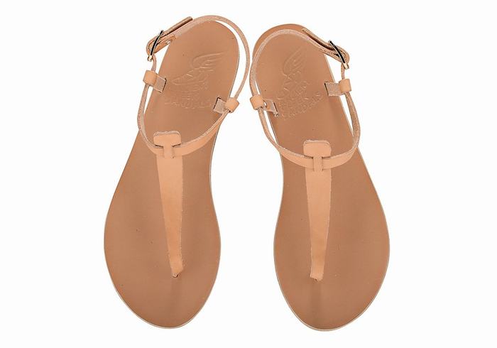 Ancient Greek Sandals Lito Flip Flop Leather Women Back-Strap Sandals Beige | LTR3863GG