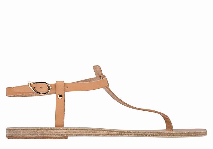 Ancient Greek Sandals Lito Flip Flop Leather Women Back-Strap Sandals Beige | LTR3863GG