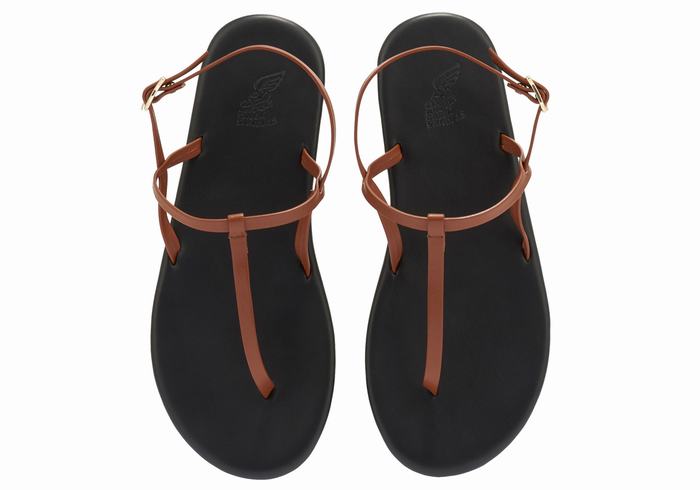 Ancient Greek Sandals Lito Flip Flop Women Back-Strap Sandals Dark Brown | JEM2357ZU