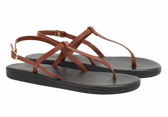 Ancient Greek Sandals Lito Flip Flop Women Back-Strap Sandals Dark Brown | JEM2357ZU