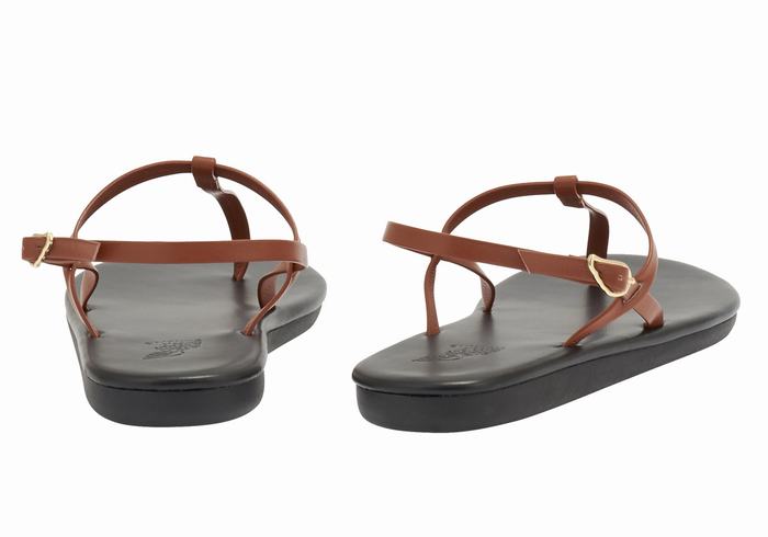 Ancient Greek Sandals Lito Flip Flop Women Back-Strap Sandals Dark Brown | JEM2357ZU