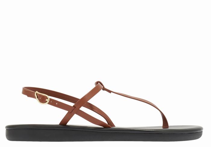 Ancient Greek Sandals Lito Flip Flop Women Back-Strap Sandals Dark Brown | JEM2357ZU