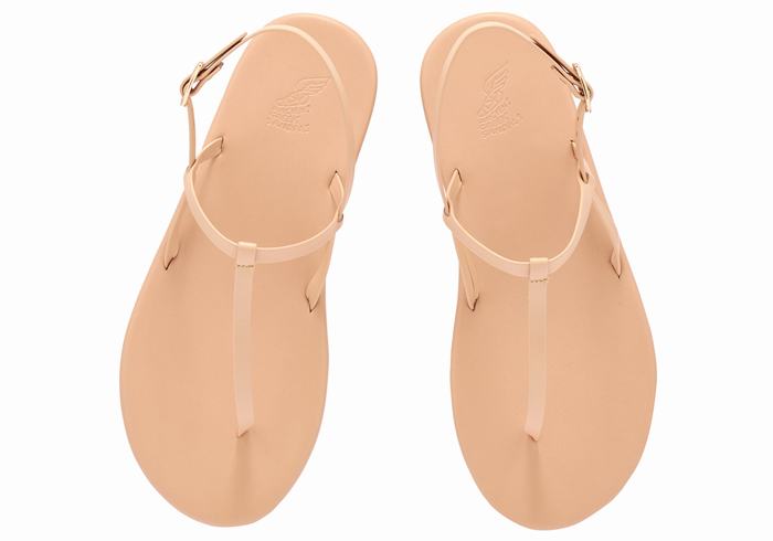 Ancient Greek Sandals Lito Flip Flop Women Back-Strap Sandals Beige | GSK4654SN