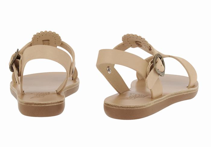 Ancient Greek Sandals Little Amber Soft Kids' Flat Sandals Beige | KSK6647KY