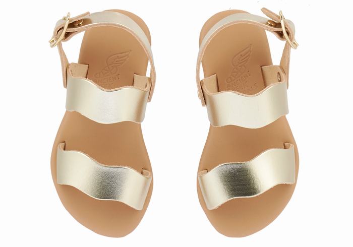 Ancient Greek Sandals Little Calamos Soft Kids' Casual Sandals Gold White | PXK5616IB