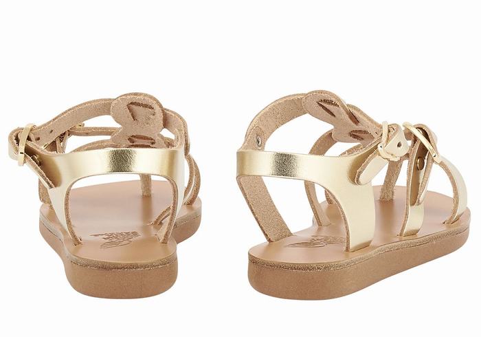 Ancient Greek Sandals Little Grace Kelly Soft Kids' Flat Sandals Gold White | OGJ223KN