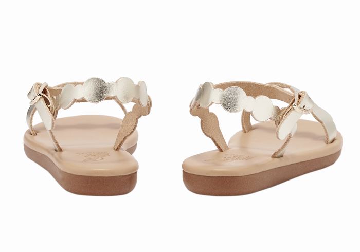 Ancient Greek Sandals Little Toxo Soft Kids' Flat Sandals Gold White | TJA7731WN