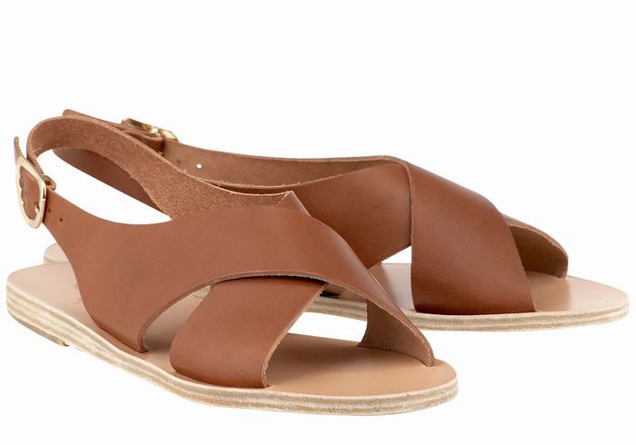 Ancient Greek Sandals Maria Leather Women Casual Sandals Dark Brown | EHM5421RX