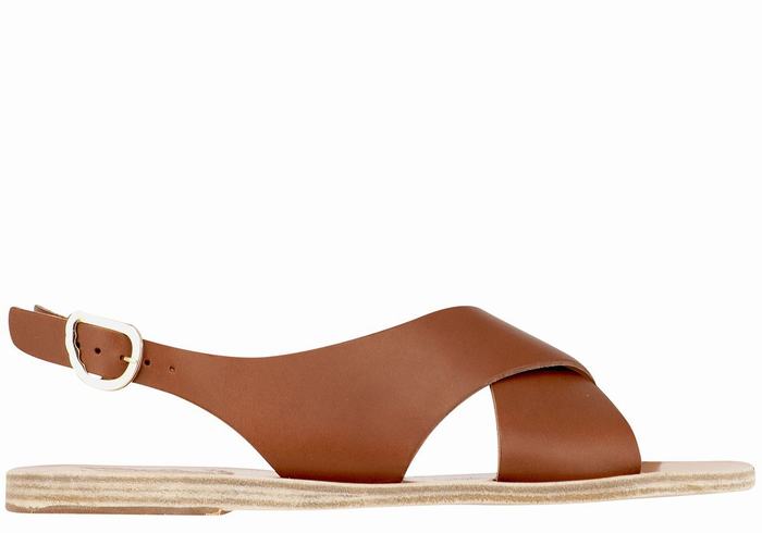 Ancient Greek Sandals Maria Leather Women Casual Sandals Dark Brown | EHM5421RX