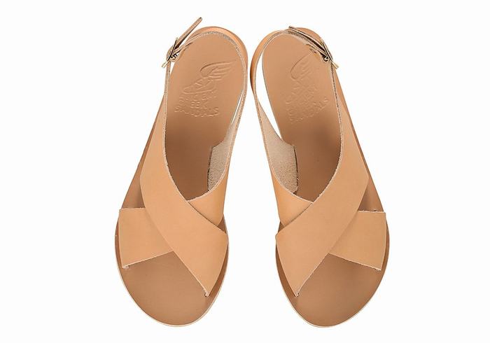 Ancient Greek Sandals Maria Leather Women Casual Sandals Beige | CMF3320VH