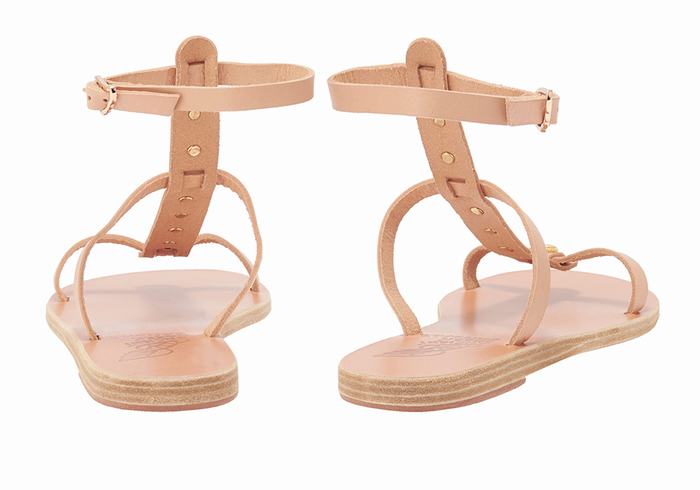 Ancient Greek Sandals Meliti Bee Women Ankle Strap Sandals Beige | WRL765SH