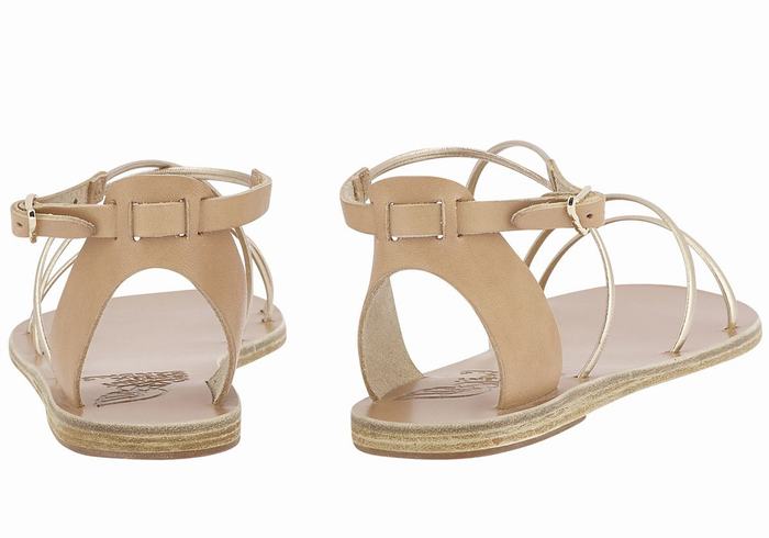 Ancient Greek Sandals Meloivia Women Ankle Strap Sandals Beige Gold White | AUS3587XM