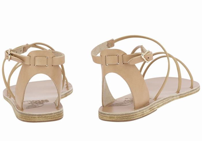 Ancient Greek Sandals Meloivia Women Ankle Strap Sandals Beige | MWM2952QE