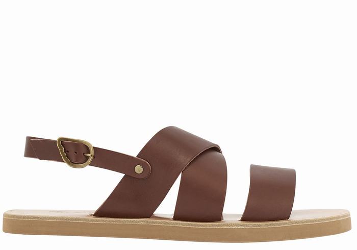 Ancient Greek Sandals Miltos Men Casual Sandals Coffee | CXN9891YJ