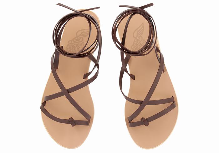 Ancient Greek Sandals Morfi Leather Women Gladiator Sandals Coffee | HLK9696XQ