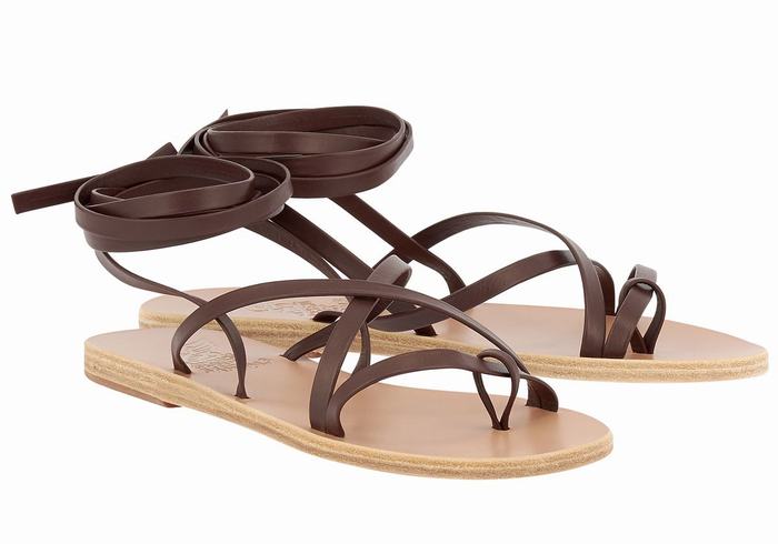 Ancient Greek Sandals Morfi Leather Women Gladiator Sandals Coffee | HLK9696XQ