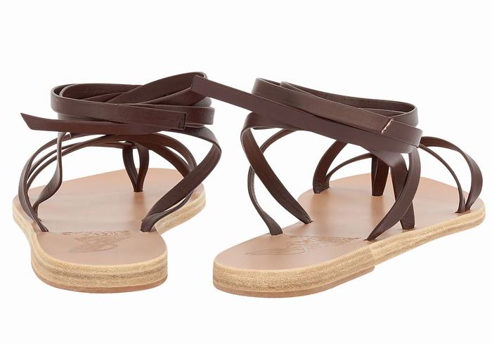 Ancient Greek Sandals Morfi Leather Women Gladiator Sandals Coffee | HLK9696XQ