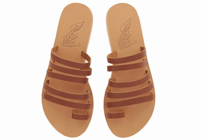 Ancient Greek Sandals Niki Leather Women Toe-Post Sandals Dark Brown | AIU7725IN