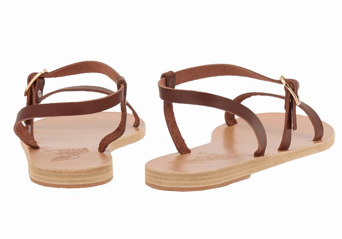 Ancient Greek Sandals Niove Leather Women Back-Strap Sandals Coffee | OCF8896ZI