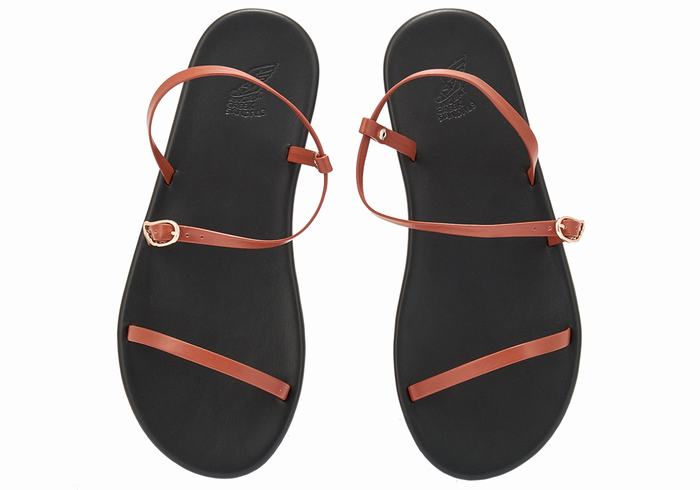 Ancient Greek Sandals Niove Women Back-Strap Sandals Dark Brown | AOT1562ZA