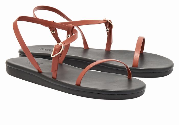 Ancient Greek Sandals Niove Women Back-Strap Sandals Dark Brown | AOT1562ZA