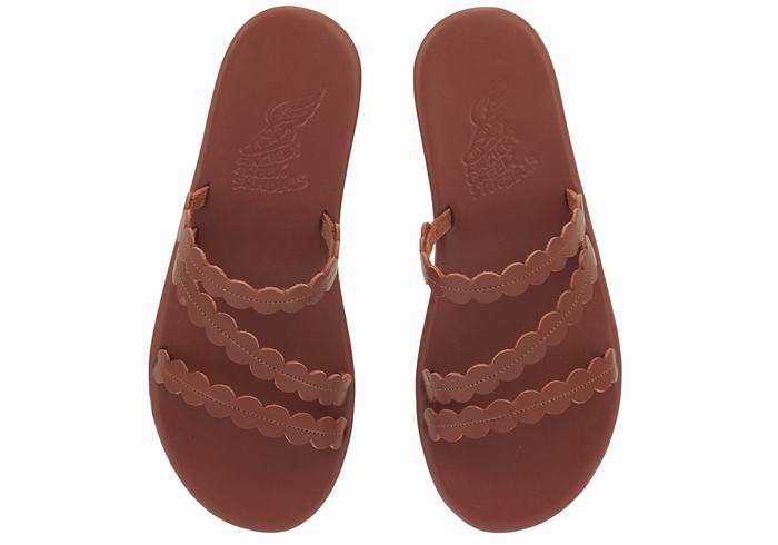 Ancient Greek Sandals Oceanis Women Slide Sandals Coffee | ZZD6133LS