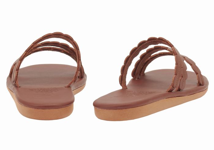 Ancient Greek Sandals Oceanis Women Slide Sandals Coffee | ZZD6133LS