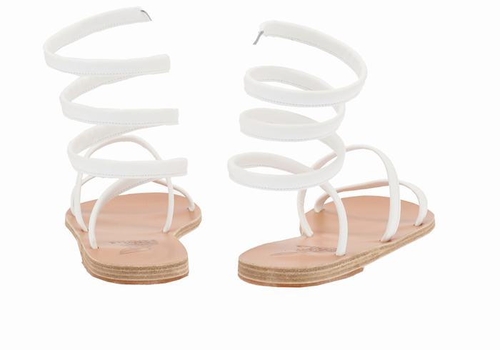 Ancient Greek Sandals Ofis Women Gladiator Sandals White | NGL8891ZY