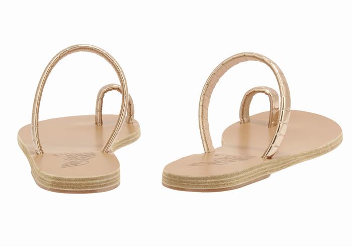 Ancient Greek Sandals Ophion Women Toe-Post Sandals Rose Gold | PNS5837SC