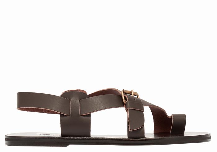 Ancient Greek Sandals Paris Leather Men Toe-Post Sandals Chocolate | SKX383SE