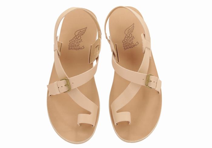 Ancient Greek Sandals Paris Leather Men Toe-Post Sandals Beige | QDP899KV