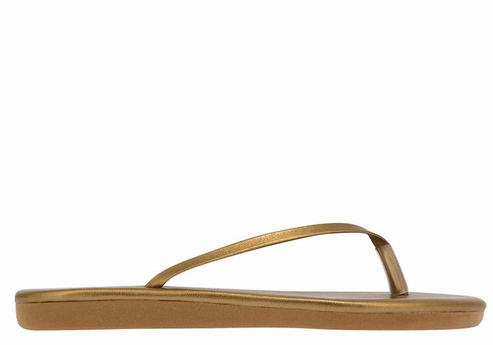 Ancient Greek Sandals Saionara Women Flip Flops Gold Brown | VWV3753QQ