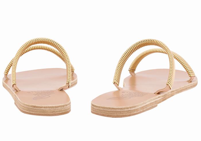 Ancient Greek Sandals Saita Women Slide Sandals Gold Beige | XNL627LV