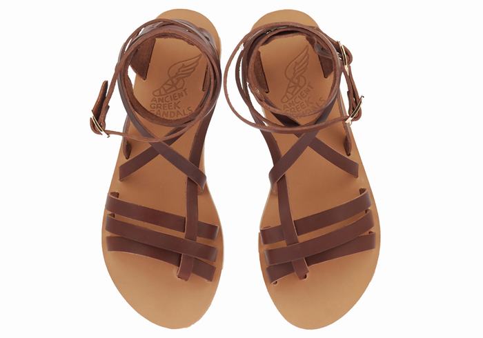 Ancient Greek Sandals Satira Leather Women Gladiator Sandals Coffee | KOD7550WO