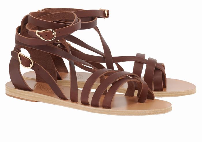 Ancient Greek Sandals Satira Leather Women Gladiator Sandals Coffee | KOD7550WO