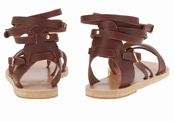 Ancient Greek Sandals Satira Leather Women Gladiator Sandals Coffee | KOD7550WO