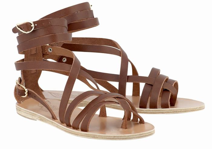 Ancient Greek Sandals Satira Leather Women Gladiator Sandals Dark Brown | IYK836ZK