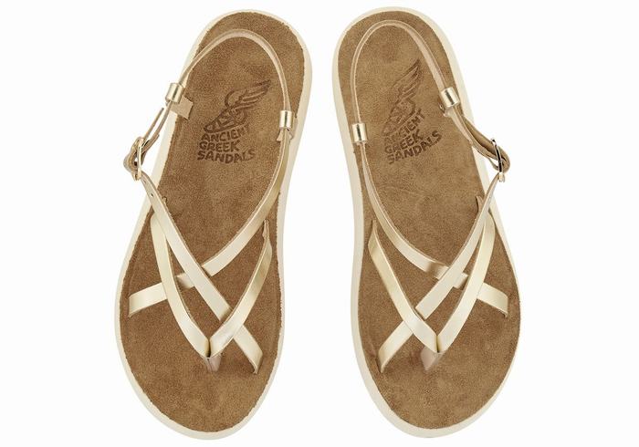 Ancient Greek Sandals Semele Comfort Women Back-Strap Sandals Gold White | UGZ5537ZM