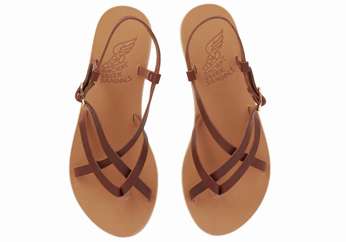 Ancient Greek Sandals Semele Leather Women Back-Strap Sandals Coffee | MMQ2449DD