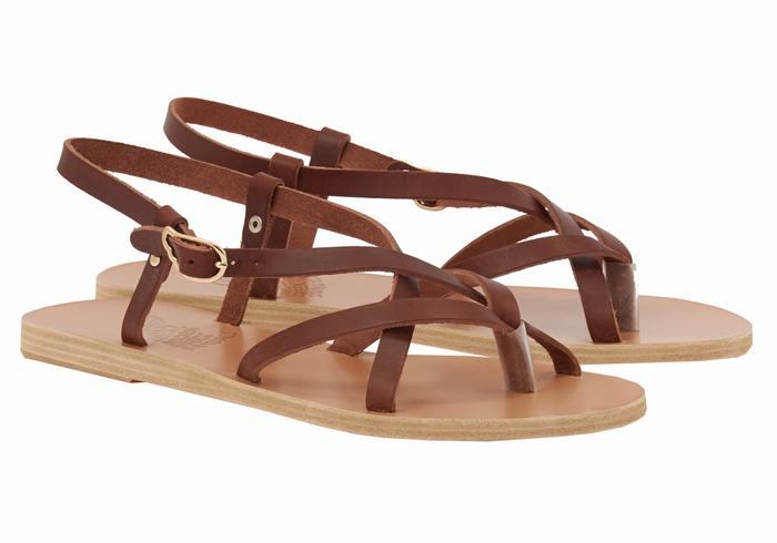 Ancient Greek Sandals Semele Leather Women Back-Strap Sandals Coffee | MMQ2449DD