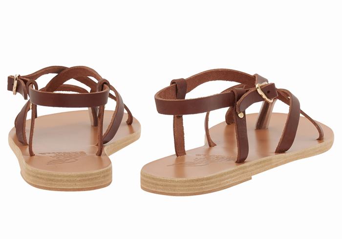 Ancient Greek Sandals Semele Leather Women Back-Strap Sandals Coffee | MMQ2449DD